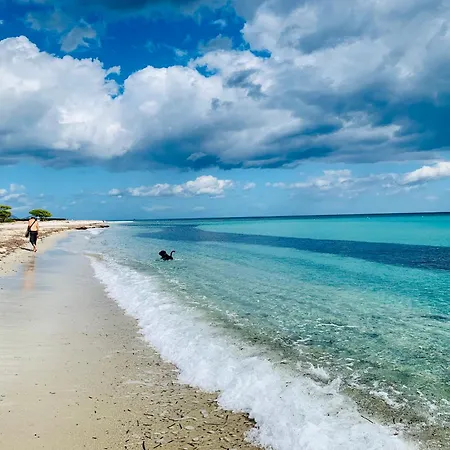 Casa Felice بيت للعطل Agrustos